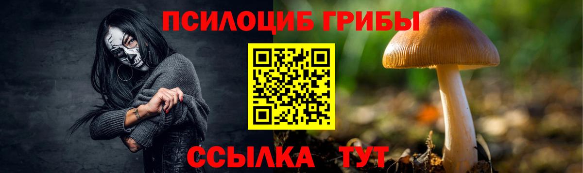 закладки  Вход с VPN  Галлюциногенные грибы GOLDEN TEACHER  Аша  Псилоцибиновые грибы мицелий 