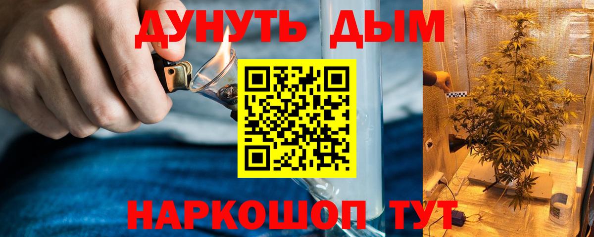 Марихуана сатива Аша